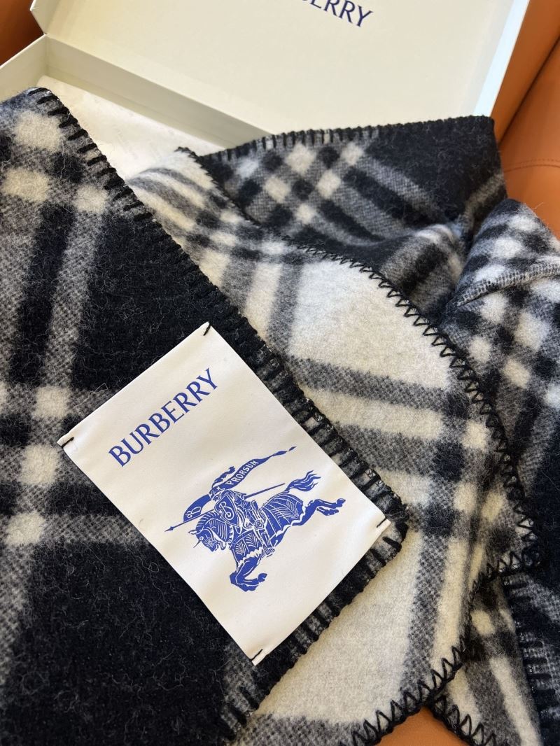 Burberry Caps Scarfs